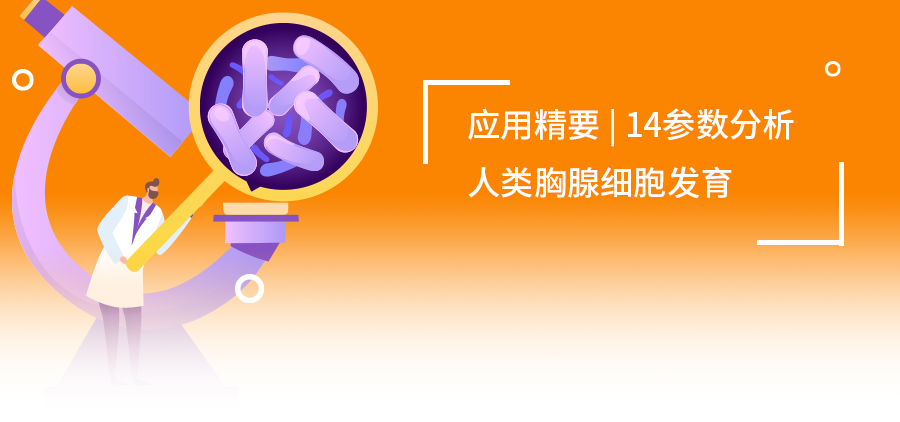 应用精要|OMIP-73：14色方案揭秘人类胸腺细胞发育图谱