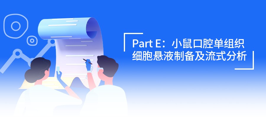 流式样本制备Ⅳ：隐藏关卡已解锁！小鼠口腔组织单细胞悬液制备和流式分析全解析