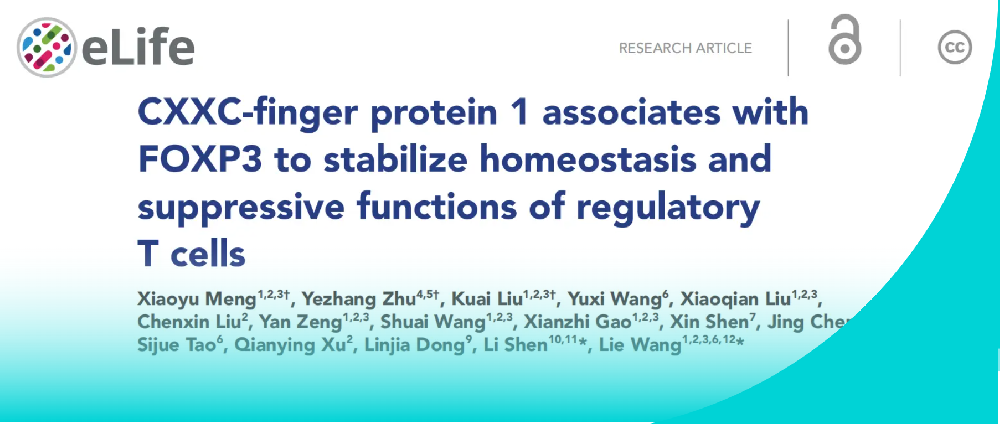 前沿解读 | 层浪流式助力揭秘CXXC1-FOXP3在Treg细胞表观遗传及功能稳态的调控机制